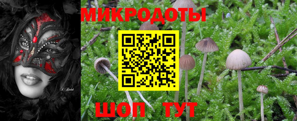 Назрань  Псилоцибиновые грибы Magic Shrooms  Вход с VPN 