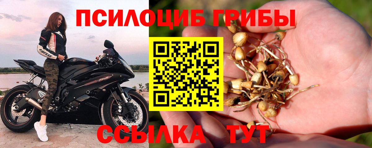 Псилоцибиновые грибы MAGIC MUSHROOMS Назрань